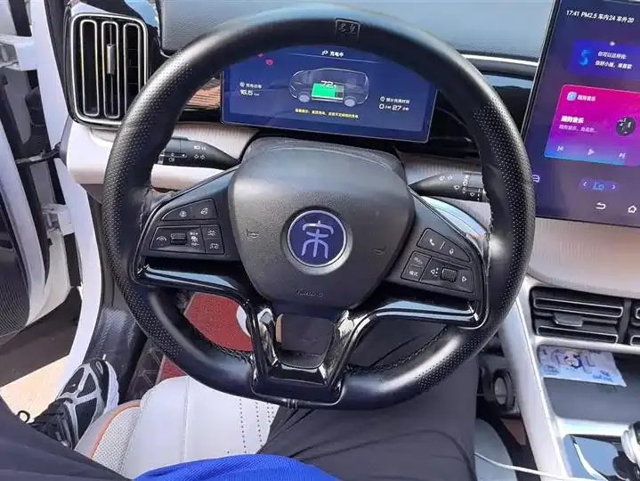 Song Pro New Energy 2024 Glory Edition DM-i 110KM Excellence 15