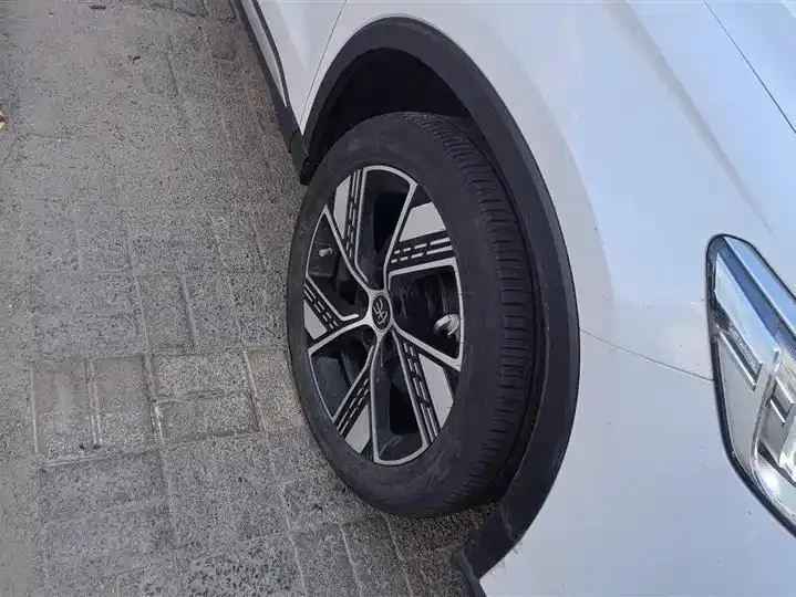 Song Pro New Energy 2024 Glory Edition DM-i 110KM Excellence 6