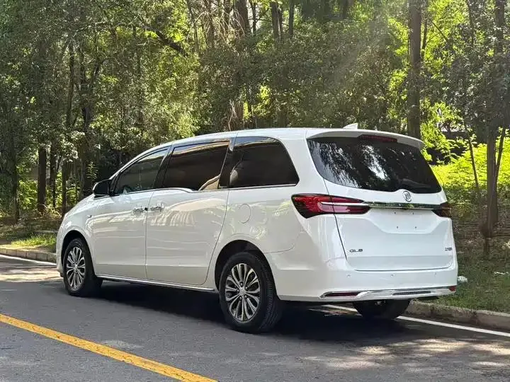 Buick GL8 2023 Land Business Class 652T Luxury Model 4