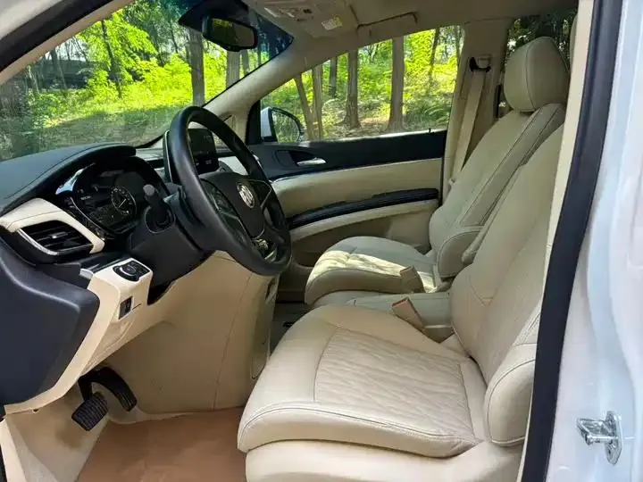 Buick GL8 2023 Land Business Class 652T Luxury Model 6