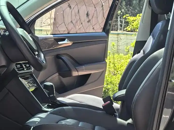 Tougu 2022 280TSI Two-Wheel-Drive Luxury Edition 4