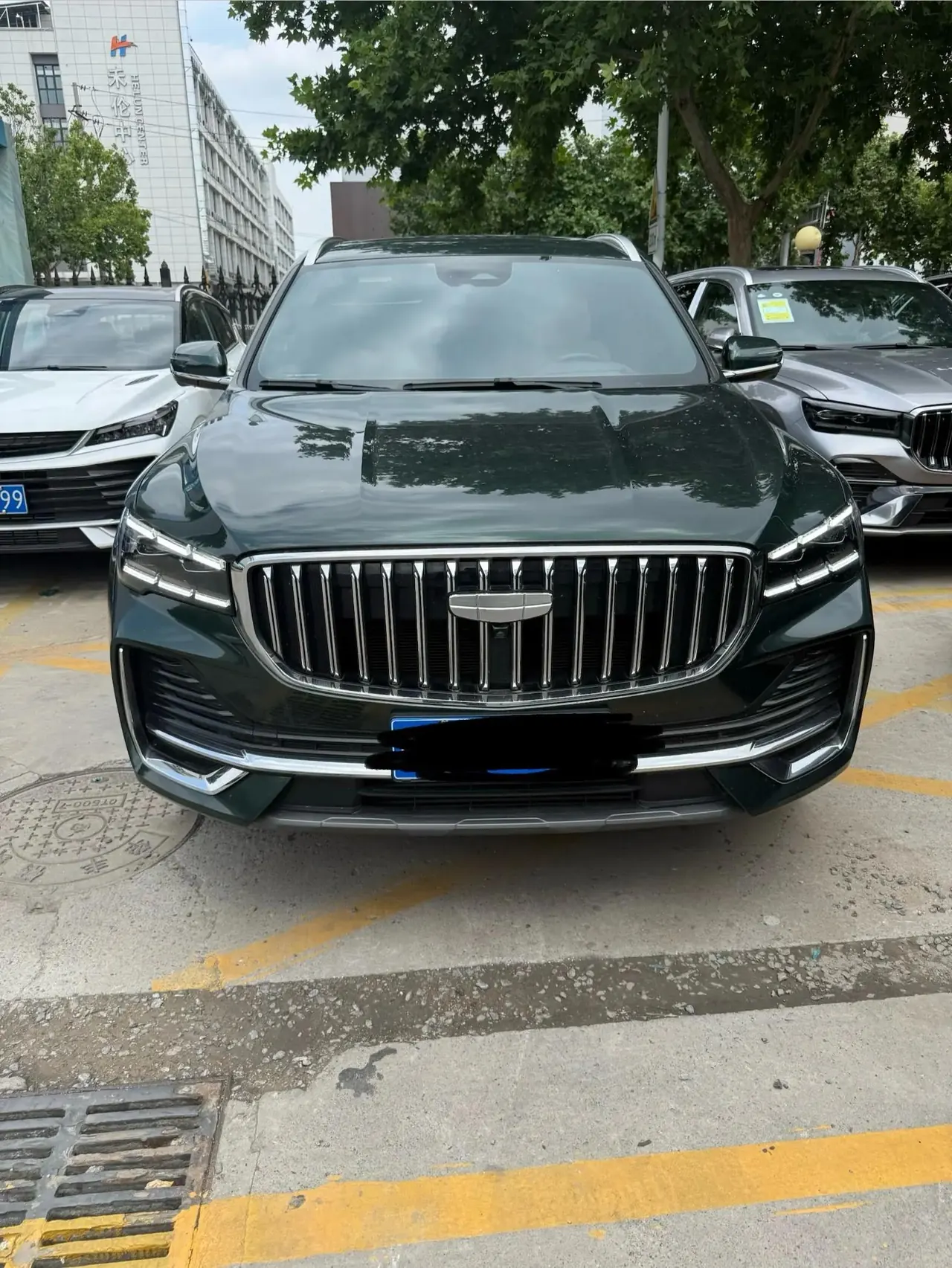 Geely 2025 XingyueL (Monjaro) 2.0TD Oriental Yao All-Wheel Drive Wangyue Edition Automatic 2