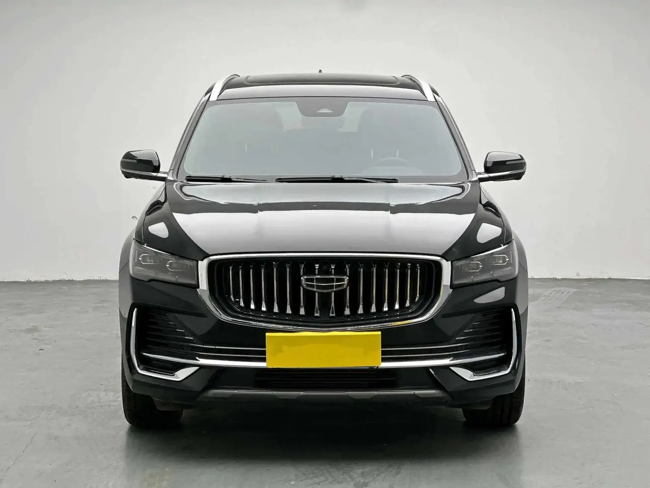 XingyueL (Monjaro) 2024 2.0TD DCT EVO Two-Drive Long Wind Edition 2