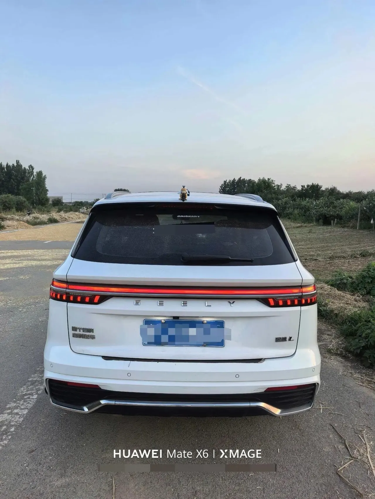XingyueL (Monjaro) 2021 model 2.0TD DCT EVO two-wheel-drive premium version 4