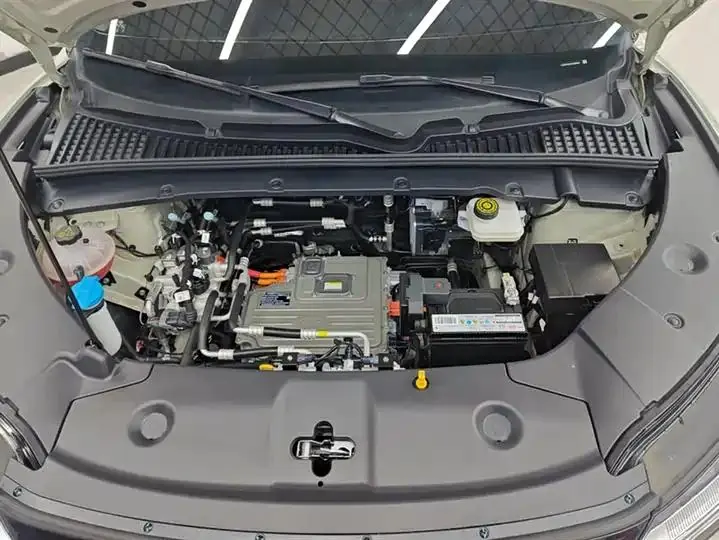 Original UP 2024 Model 401km Leading Edition 10