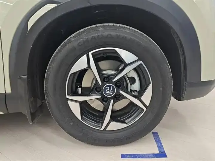 Original UP 2024 Model 401km Leading Edition 6