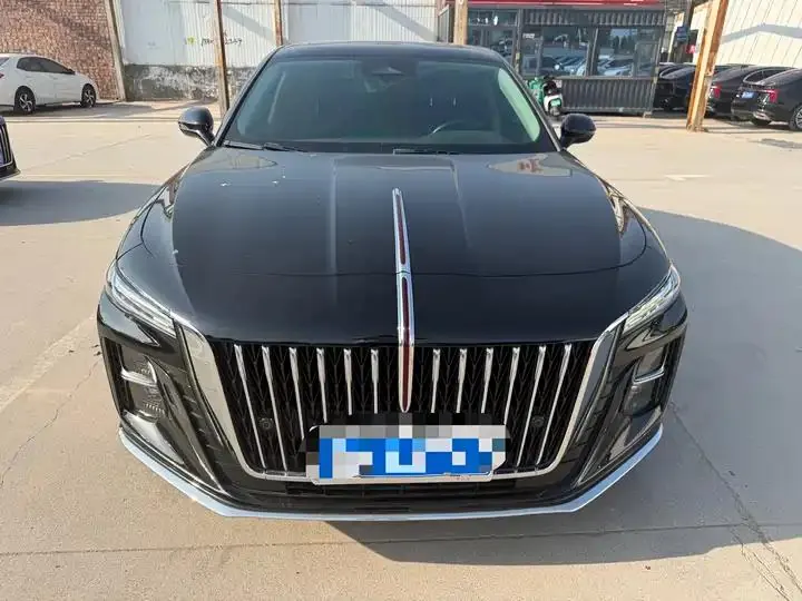 HongQi H5 2023 2.0T Auto Zhilian Flag Edition 2