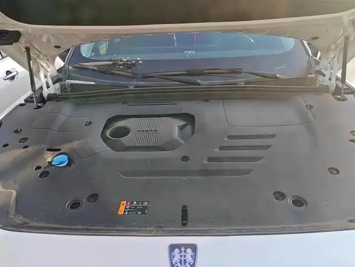 Roewe RX5 2023 1.5T Honorable Sliding Screen Edition 10