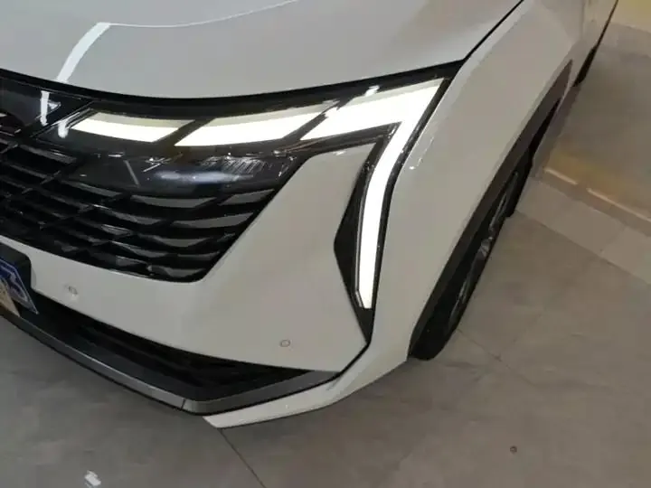 Boyue L 2023 1.5TD DCT Prestige Edition 24