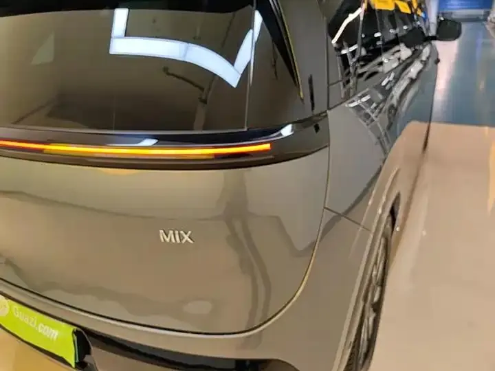 Zeekr MIX 2025 Long Endurance Smart Driving Edition 24