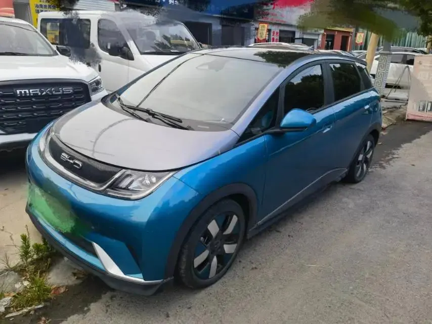 Dolphin 2021 401km Knight Edition - View 1
