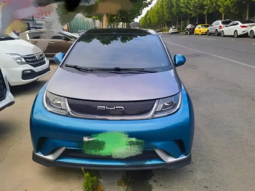 Dolphin 2021 401km Knight Edition 2
