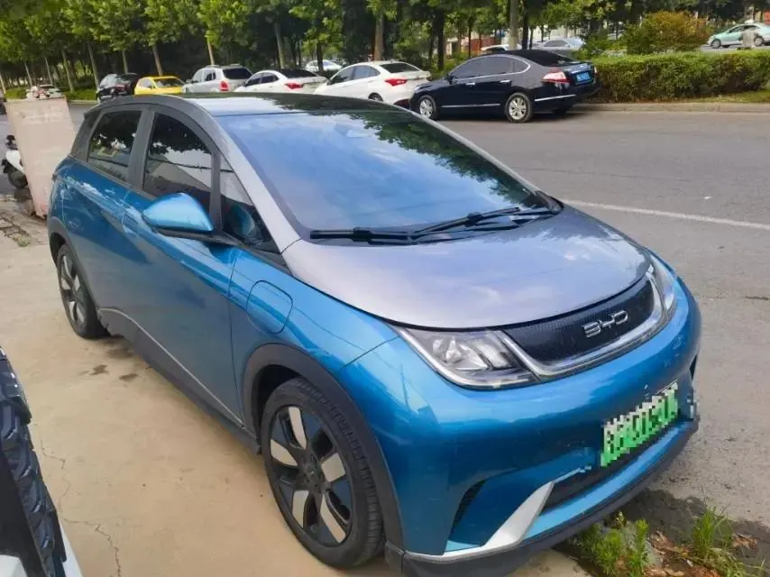 Dolphin 2021 401km Knight Edition 3