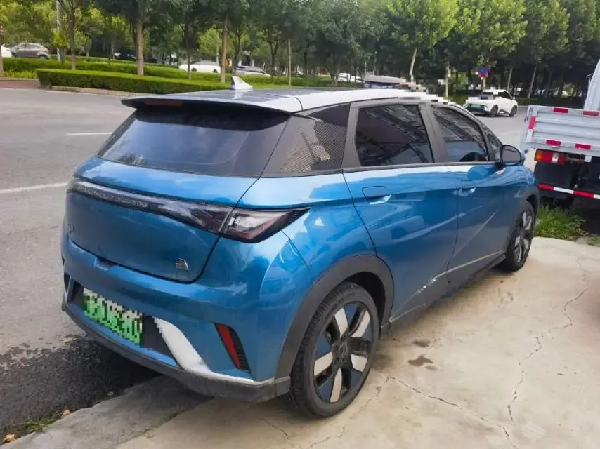 Dolphin 2021 401km Knight Edition 4
