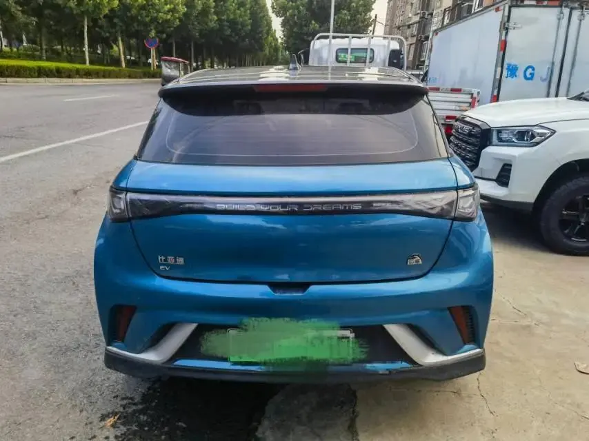Dolphin 2021 401km Knight Edition 5