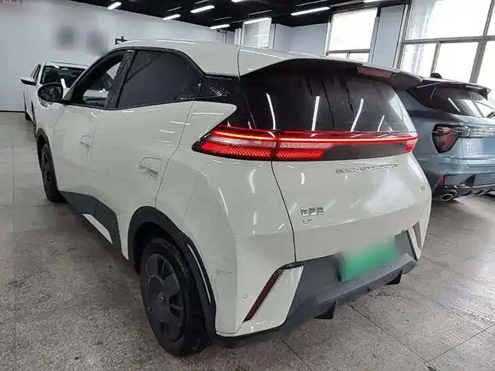 Seagull 2023 Vital Edition 5