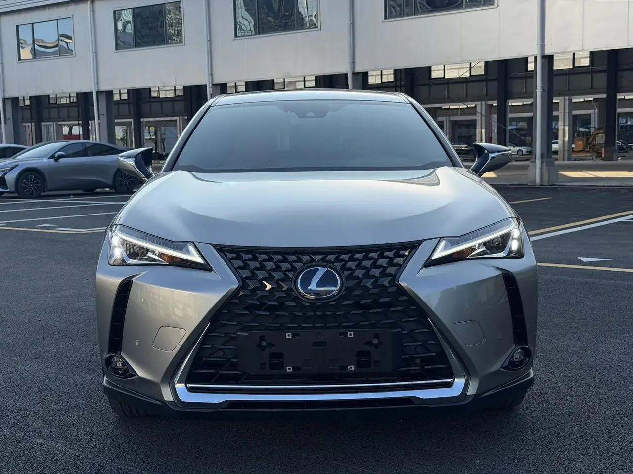 Lexus UX New Energy 2020 300e Pure Yue Edition 2