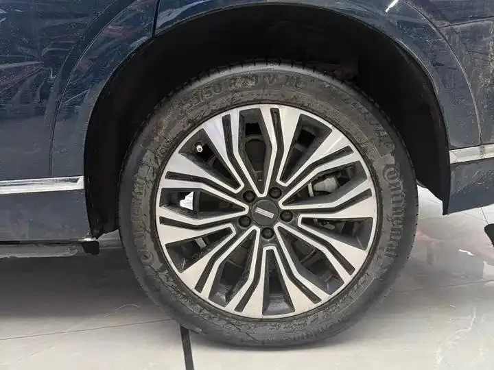 WEY Blue Mountain 2023 Four-wheel Drive Long Endurance Edition 11