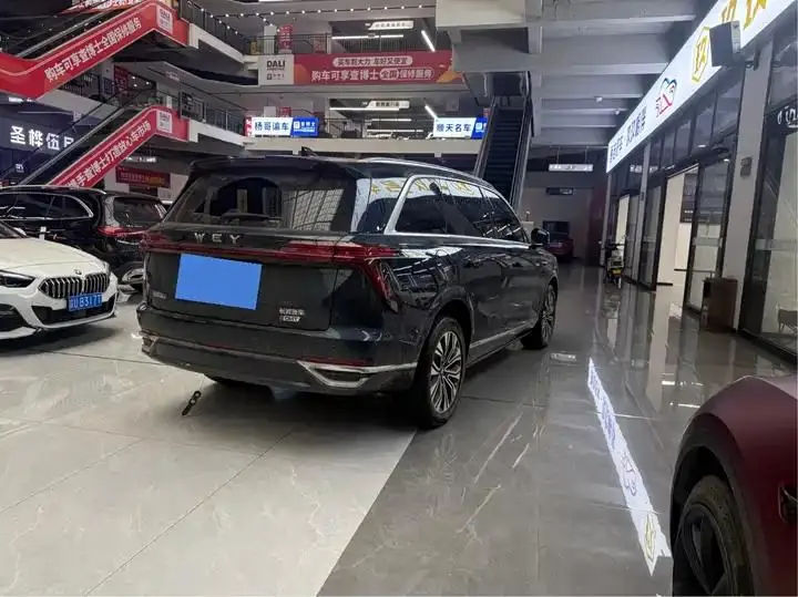 WEY Blue Mountain 2023 Four-wheel Drive Long Endurance Edition 12
