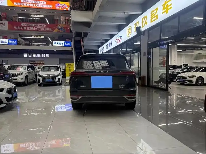 WEY Blue Mountain 2023 Four-wheel Drive Long Endurance Edition 13