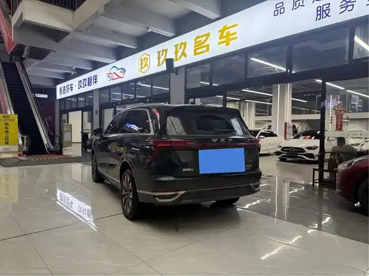 WEY Blue Mountain 2023 Four-wheel Drive Long Endurance Edition 14