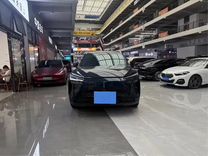 WEY Blue Mountain 2023 Four-wheel Drive Long Endurance Edition 2