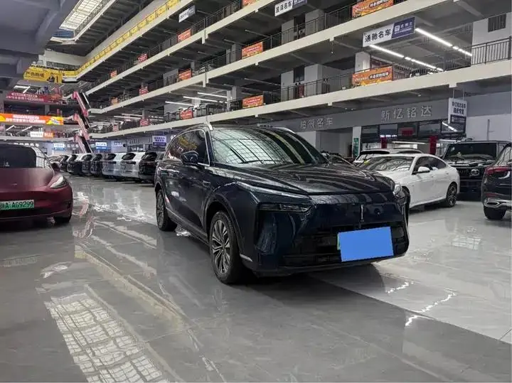 WEY Blue Mountain 2023 Four-wheel Drive Long Endurance Edition 3