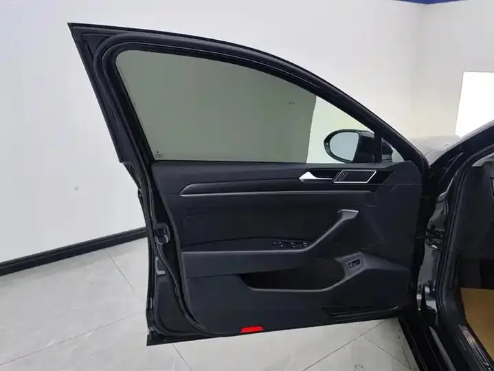 Magotan 2020 330TSI DSG Leading Edition 7
