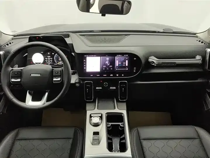Haval Big Dog 2024 1.5T DCT Border Animal Husbandry Edition 12
