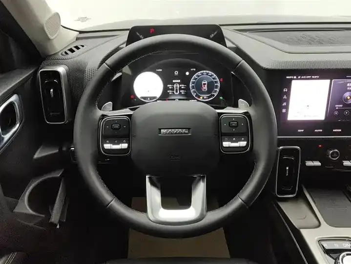 Haval Big Dog 2024 1.5T DCT Border Animal Husbandry Edition 15