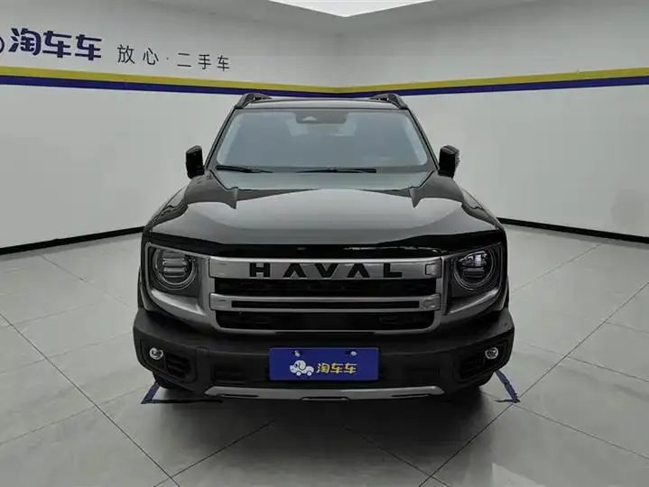 Haval Big Dog 2024 1.5T DCT Border Animal Husbandry Edition 2
