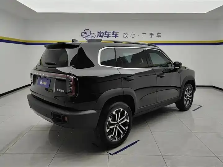 Haval Big Dog 2024 1.5T DCT Border Animal Husbandry Edition 3