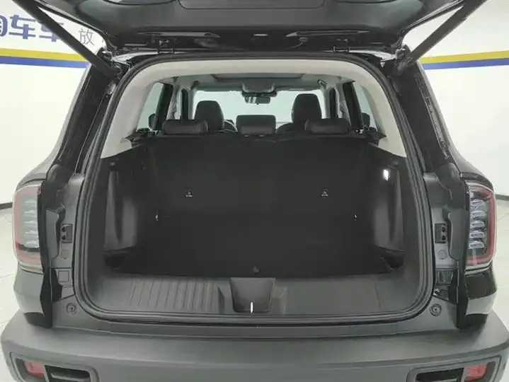 Haval Big Dog 2024 1.5T DCT Border Animal Husbandry Edition 4