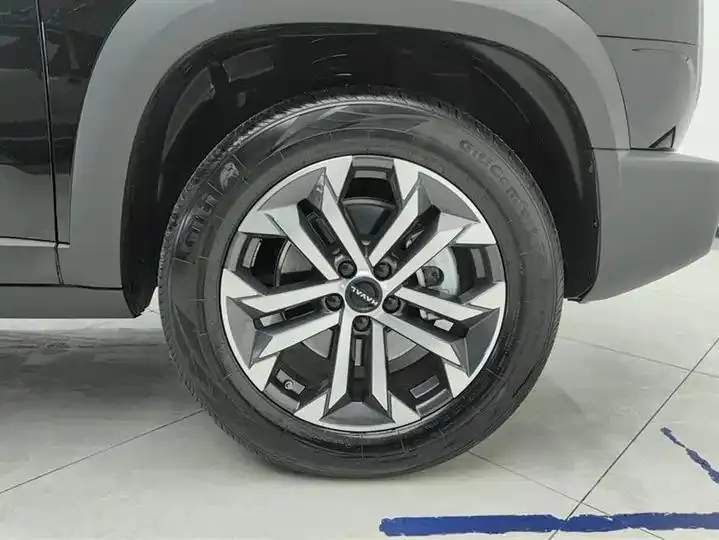 Haval Big Dog 2024 1.5T DCT Border Animal Husbandry Edition 6