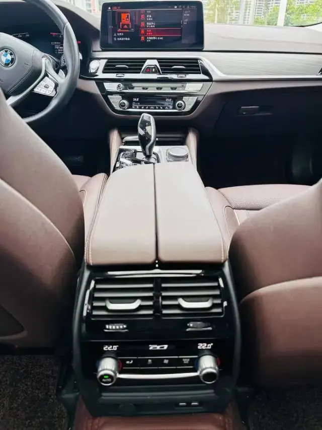 BMW 5 Series 2022 Modified 2 530Li Premium Luxury Suit 8