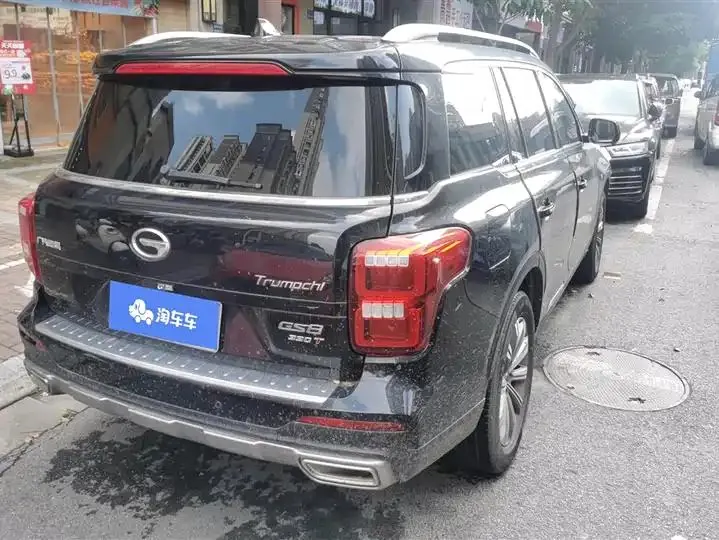 Chuanqi GS8 2020 390T Two-Drive Luxury Zhilian Commemorative Edition (Seven) 3