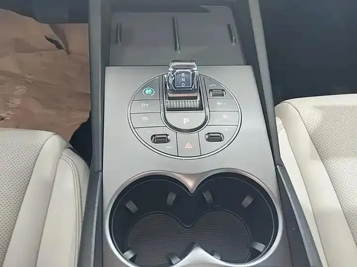 Seal 06 New Energy 2024 DM-i 80KM Luxury Model 14