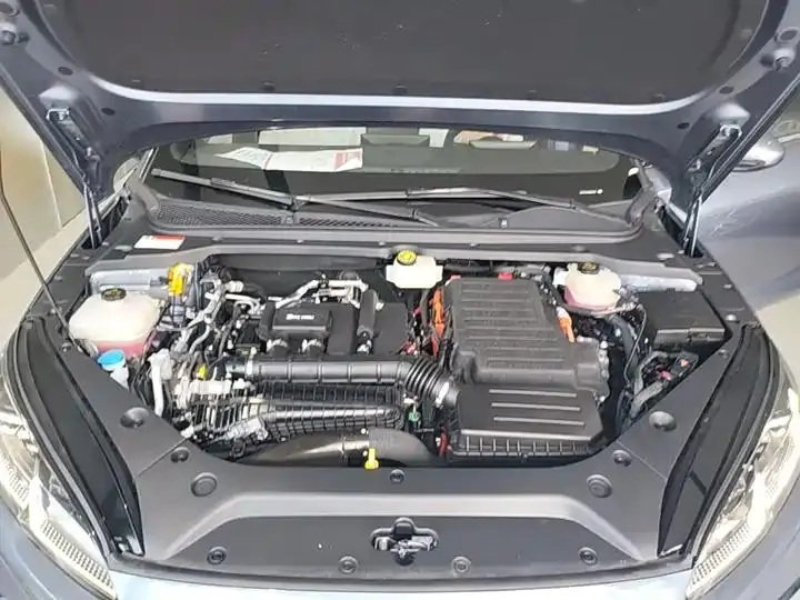 Seal 06 New Energy 2024 DM-i 80KM Luxury Model 20