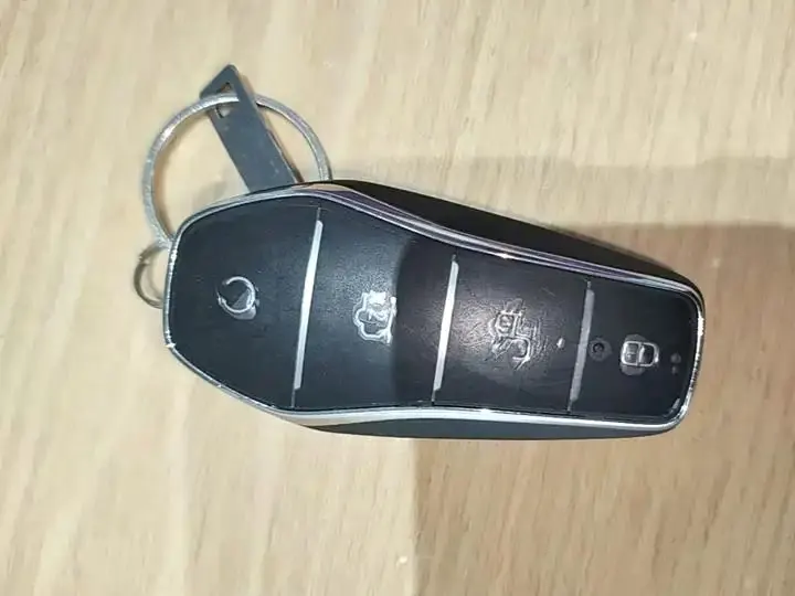 Seal 06 New Energy 2024 DM-i 80KM Luxury Model 9