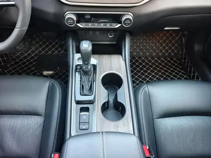 Tianlai 2021 2.0L XL Comfort Edition 9
