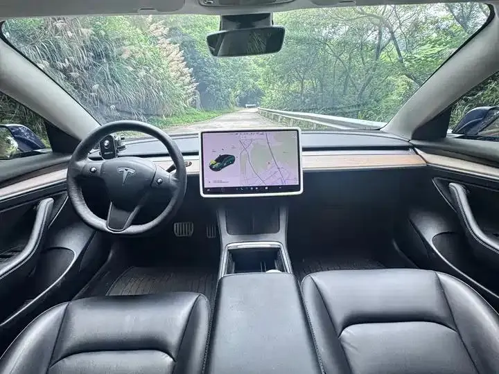 Model 3 2021 Performance high-performance all-wheel drive 11
