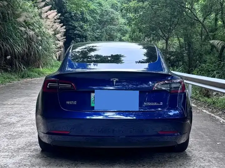 Model 3 2021 Performance high-performance all-wheel drive 3