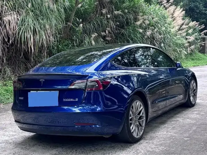 Model 3 2021 Performance high-performance all-wheel drive 4
