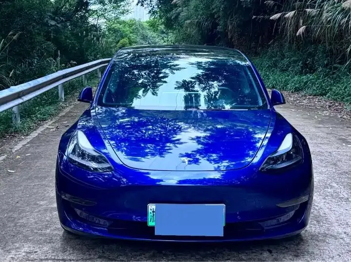 Model 3 2021 Performance high-performance all-wheel drive 6