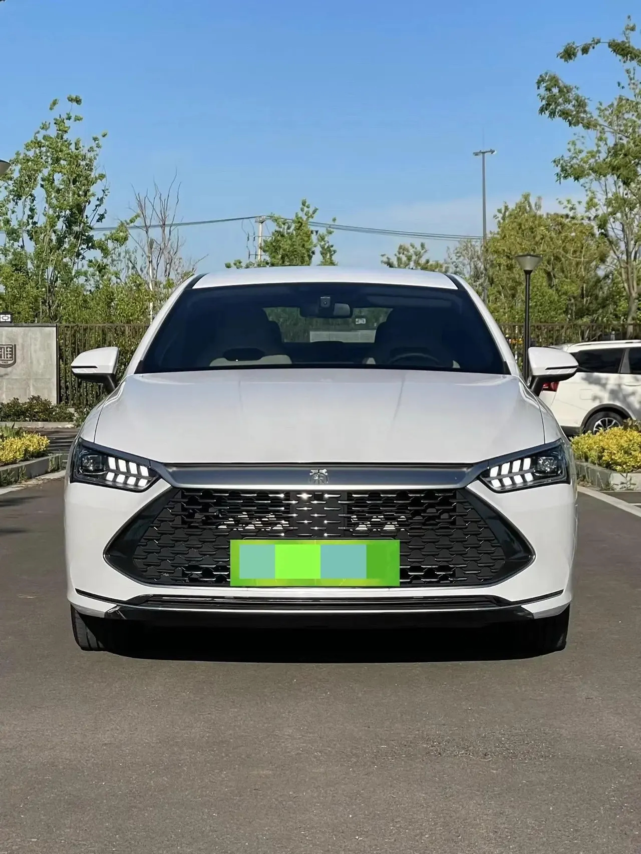 BYD 2024 Qin PLUS DM-i 1.5 CVT Glory Edition 55KM Prestige Automatic 2