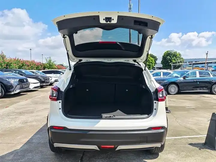 Xiao Ke 2023 Classic 2.0L CVT XV Comfort Edition 18