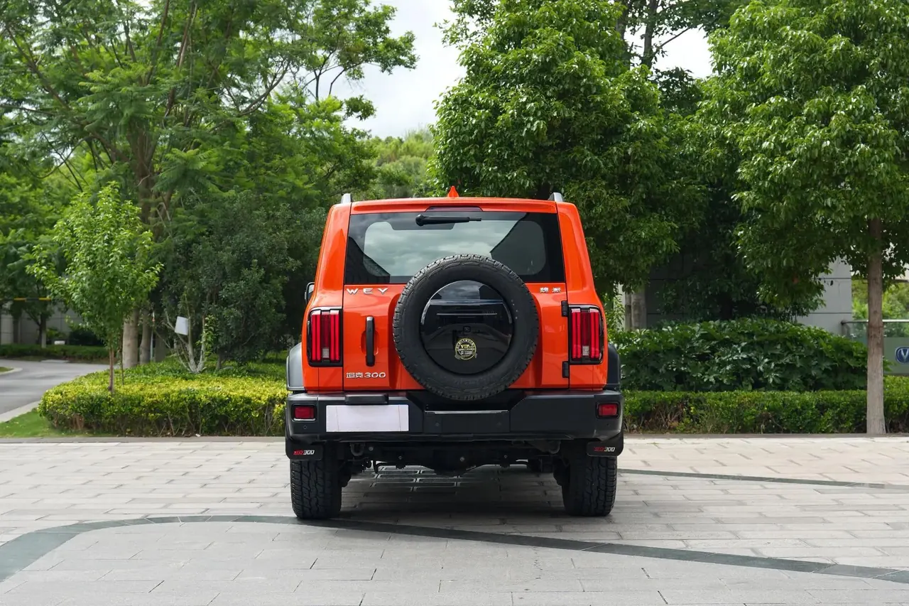 Tank 300 2021 Off-road Edition 2.0T Conqueror 7