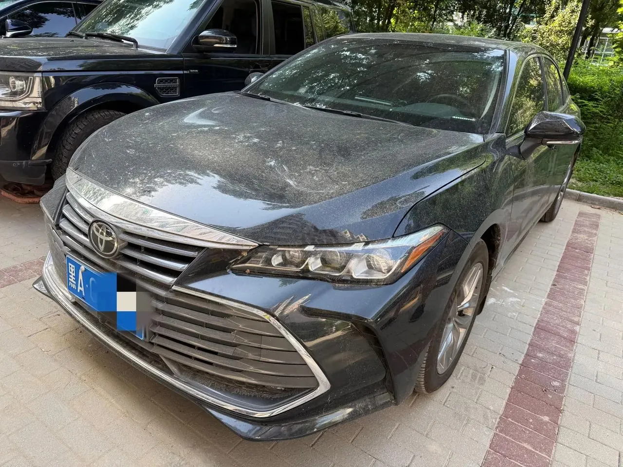 Asian dragon 2019 2.0L enterprising version VI - View 1