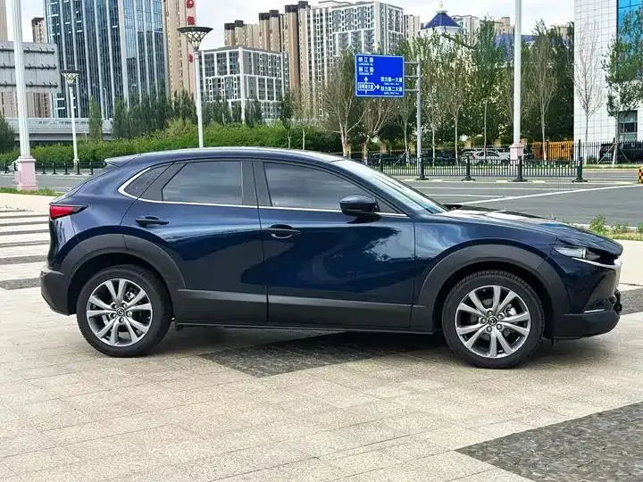 Mazda CX-30 2020 2.0L Automatic Yayue Model 4