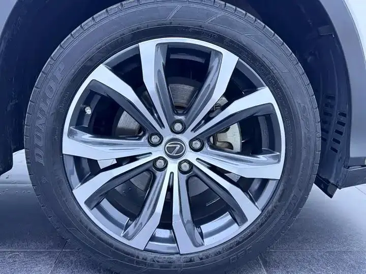 Lexus RX 2020 model modified 300 four-wheel drive elegant version 21